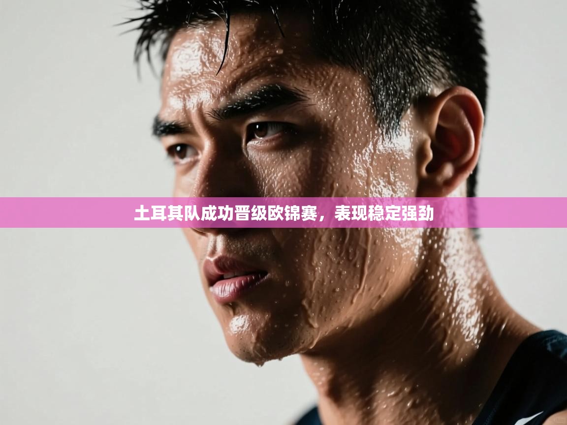 土耳其队成功晋级欧锦赛,表现稳定强劲 第2张