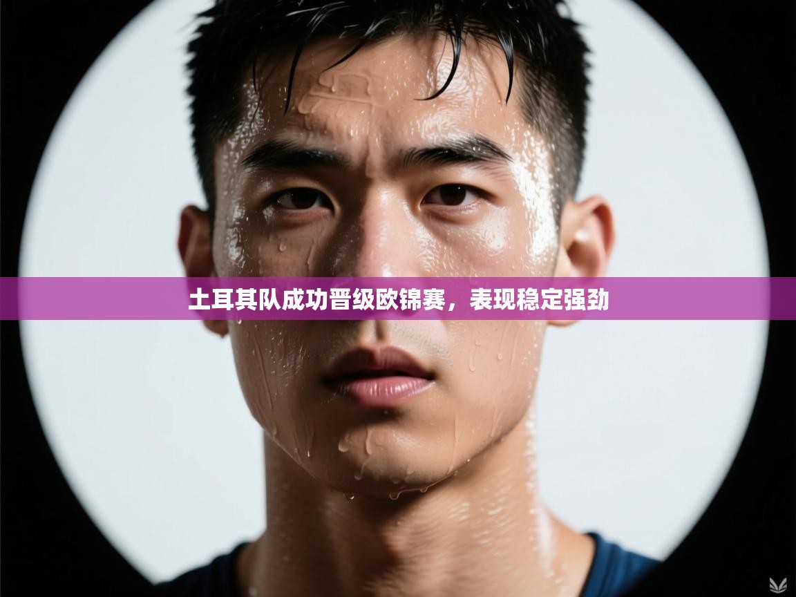 土耳其队成功晋级欧锦赛,表现稳定强劲 第1张