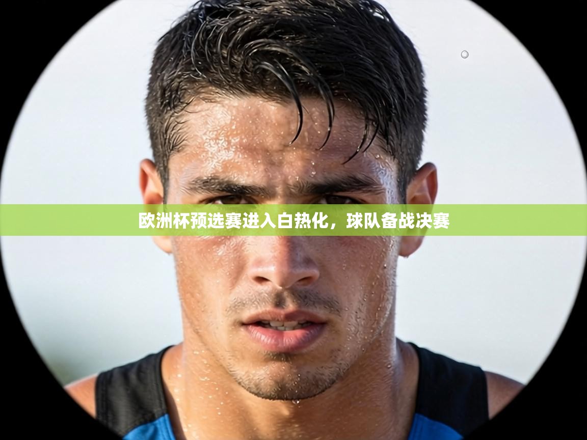 欧洲杯预选赛进入白热化,球队备战决赛 第1张
